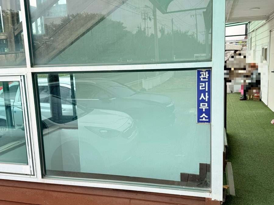 바다바라기 사진 2
