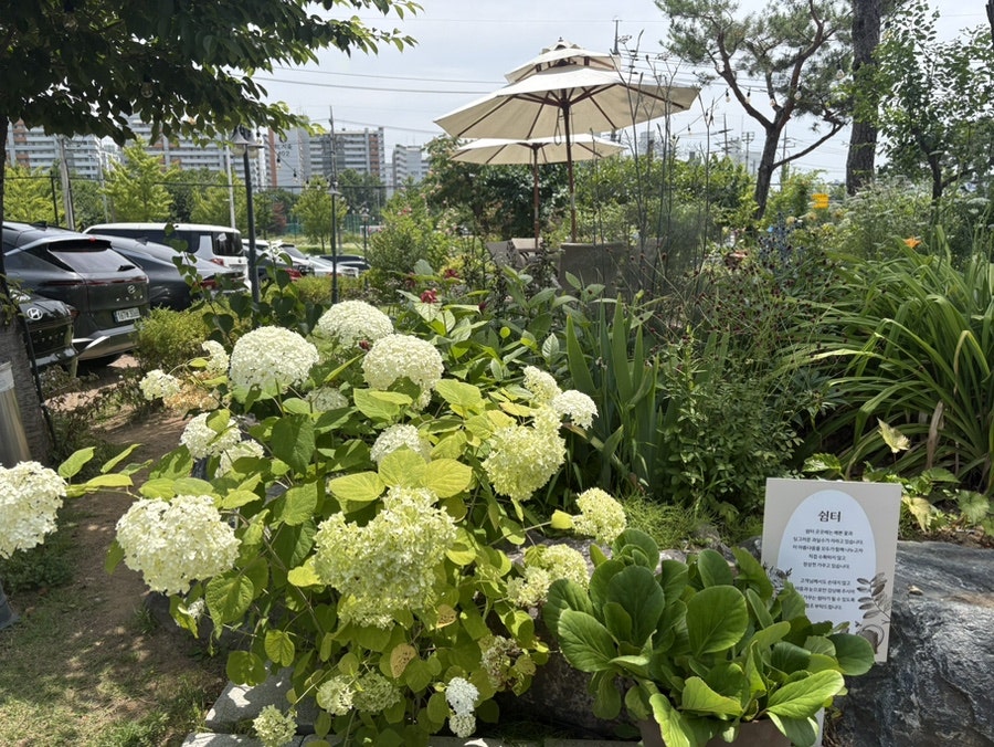 국수화 남동구본점 사진 3
