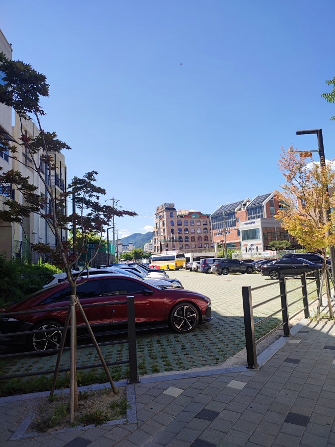 산들에농원 민물장어 사진 3