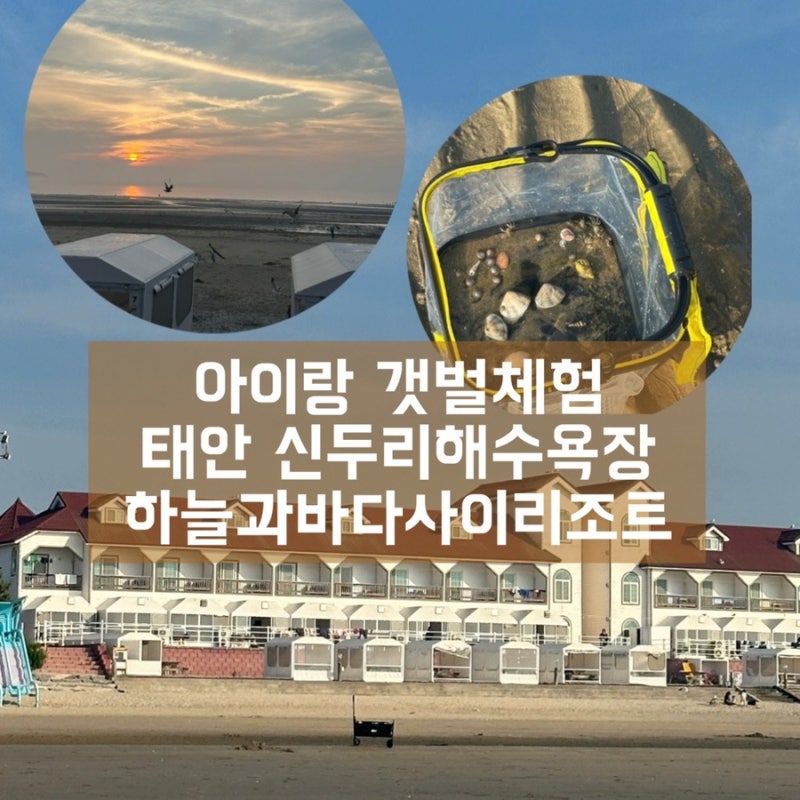 태안 신두리 해수욕장 아이랑 함께 갯벌체험,하늘과바다사이리조트 3단지 1차 숙박후기,준비....