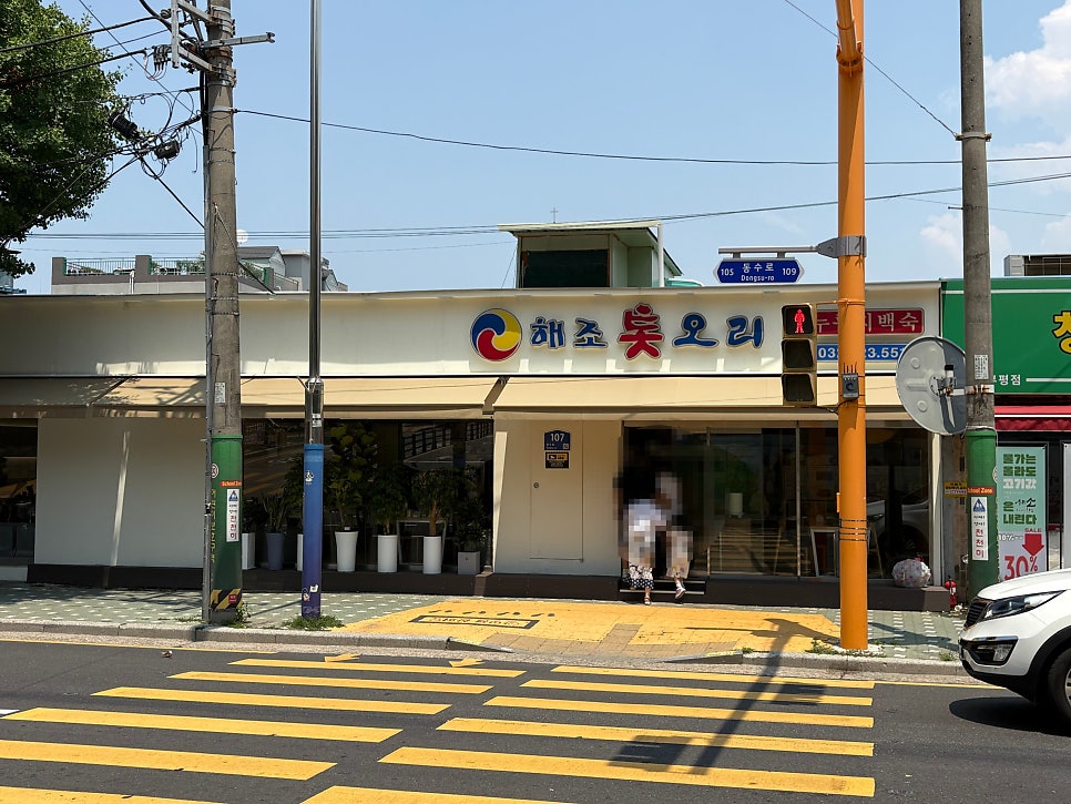 해조톳오리 사진 2