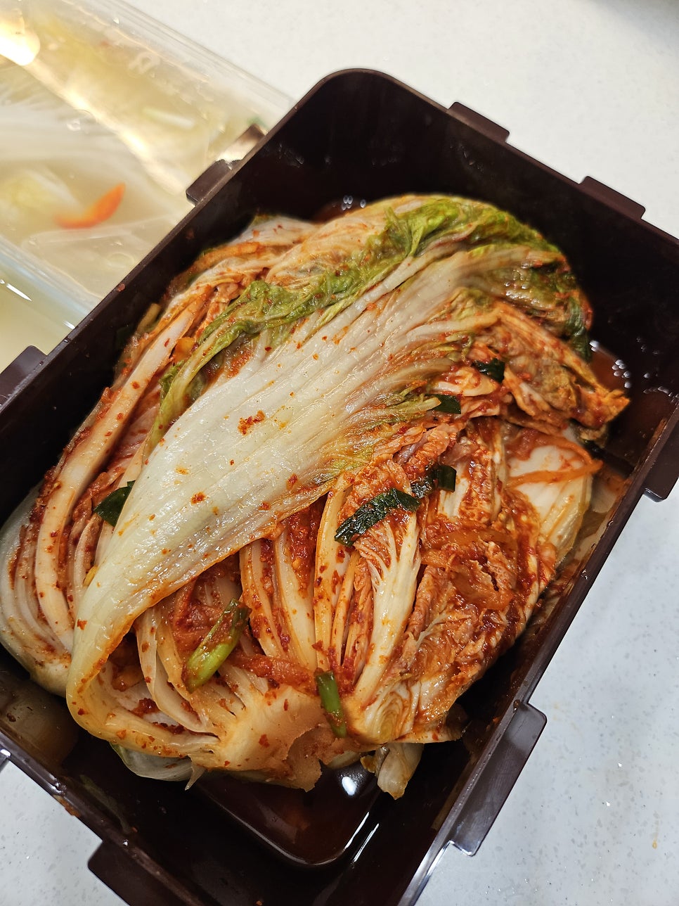다미 사진 1