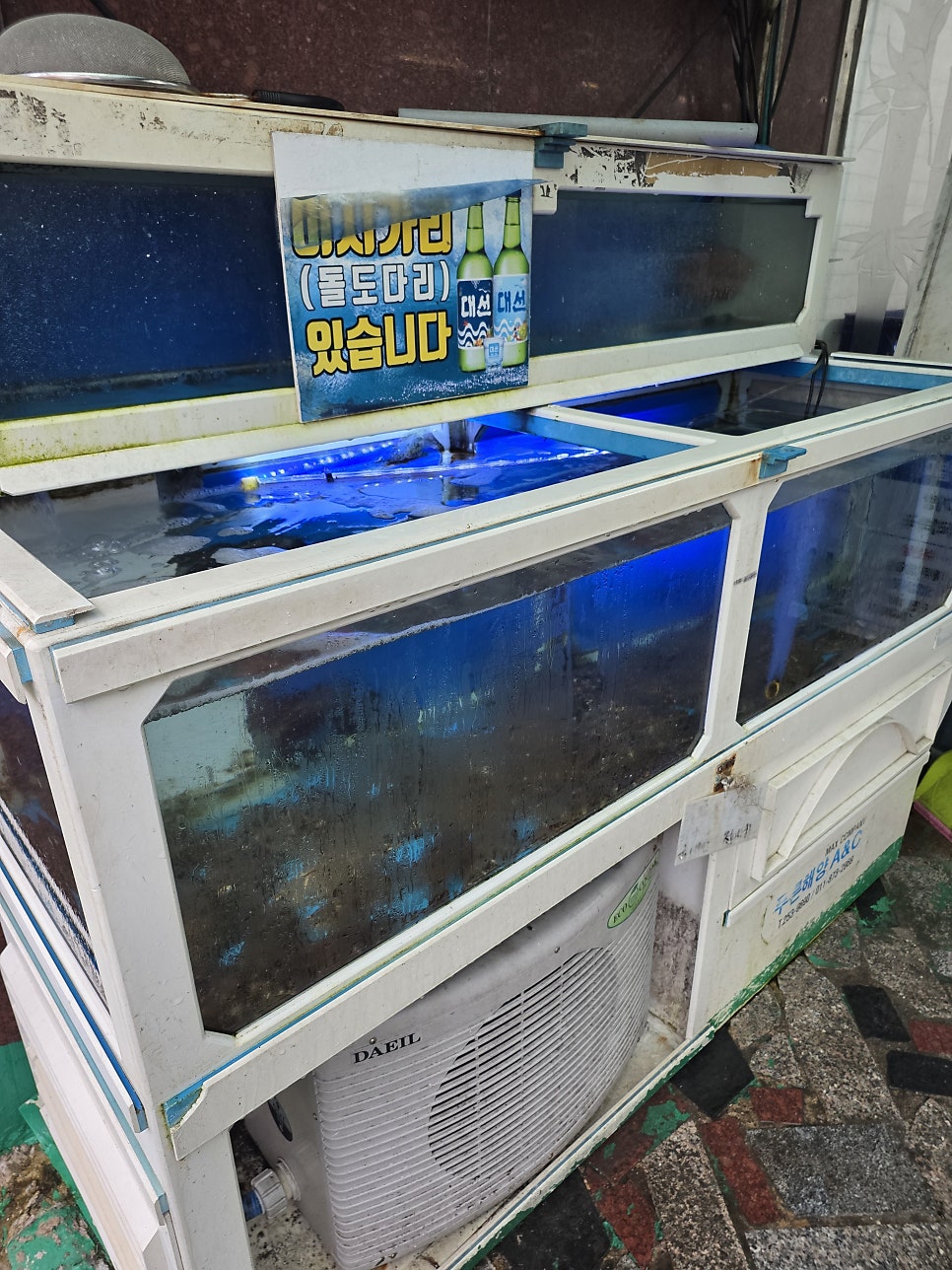 통영회센타 사진 3