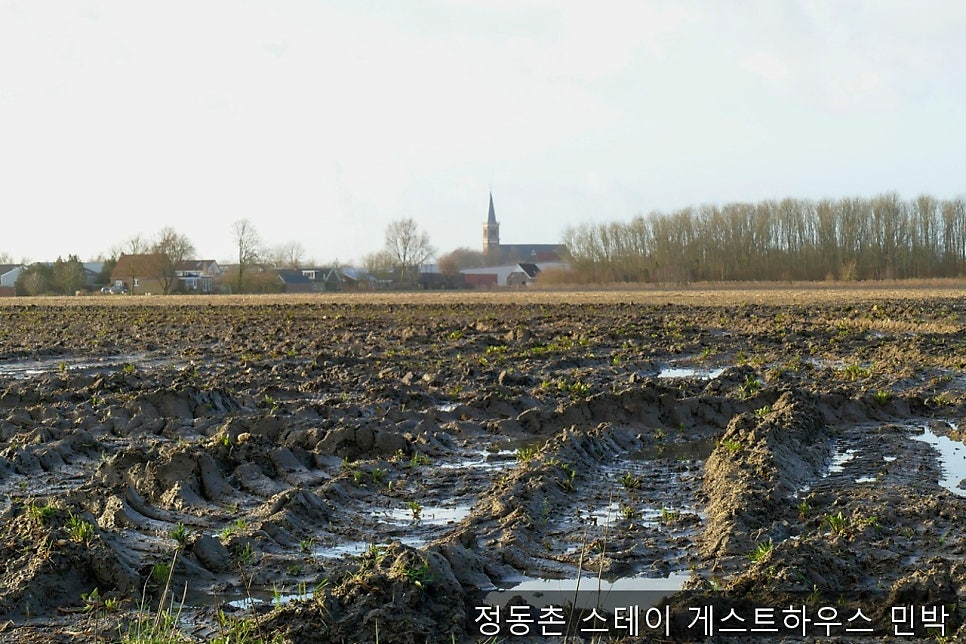 정동촌스테이게스트하우스 사진 1