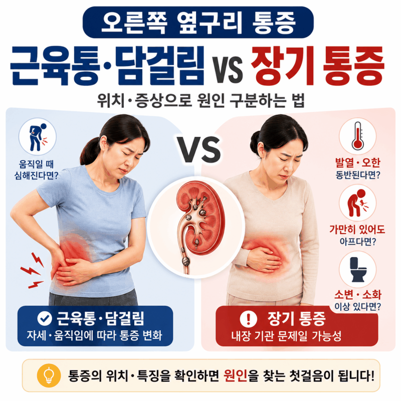 여자 오른쪽 옆구리 통증 원인 7가지: 오른쪽 갈비뼈 아래 콕콕 찌르는 통증, 위치로 원인 찾....
