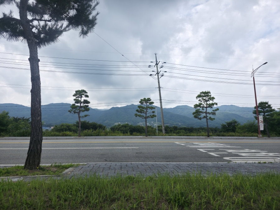 정주골해물순두부 사진 1