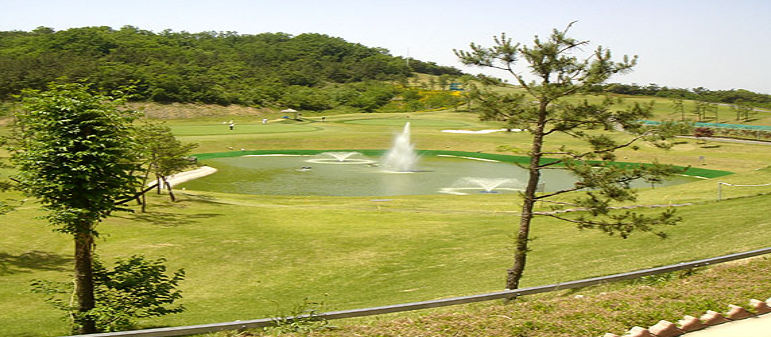 충성대체력단련장 한식점 사진 2