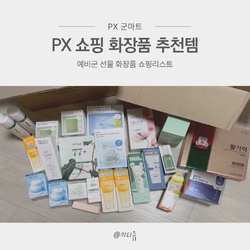 PX 화장품 추천템 군마트 가격 쇼핑리스트 아비브 아누아 마스크팩