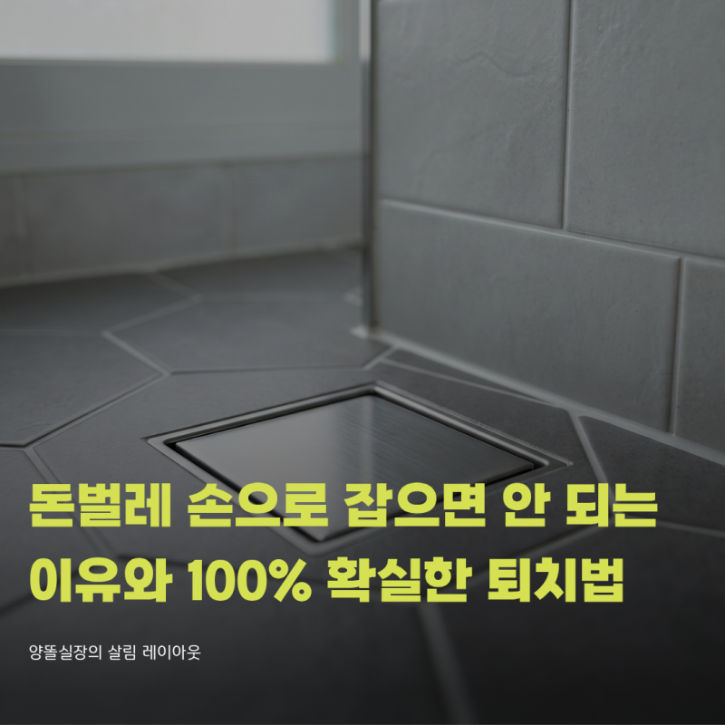 돈벌레 손으로 잡으면 안 되는 진짜 이유와 100% 확실한 퇴치법