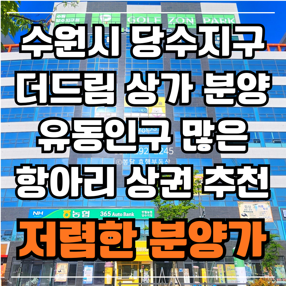 더드림 사진 1