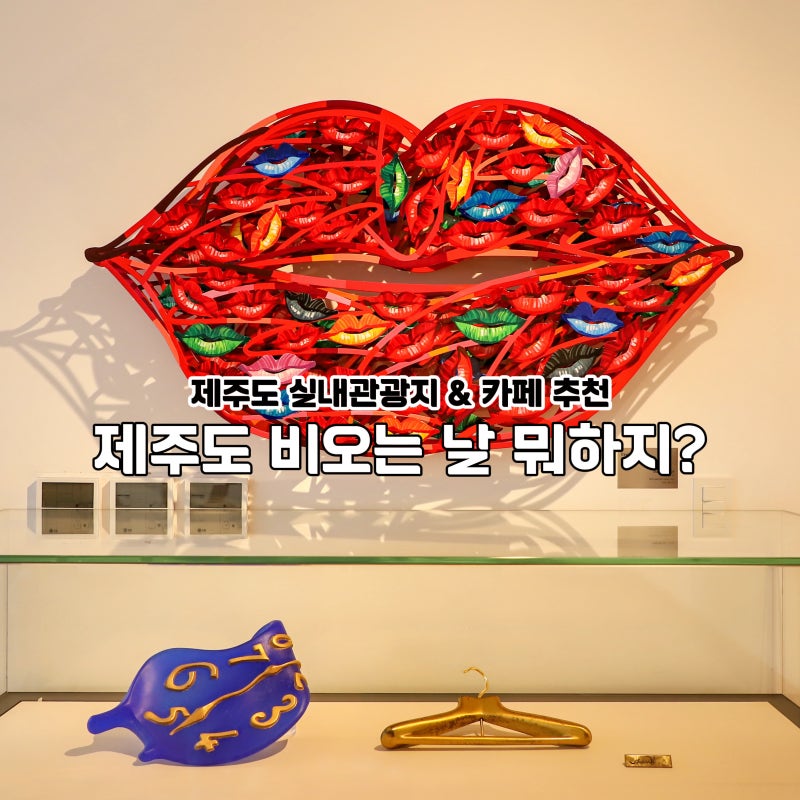 제주도 비올때 갈만한곳 아쿠아플라넷 제주 비오는날 실내 관광지