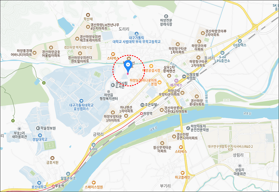 중화당 손칼국수 사진 4