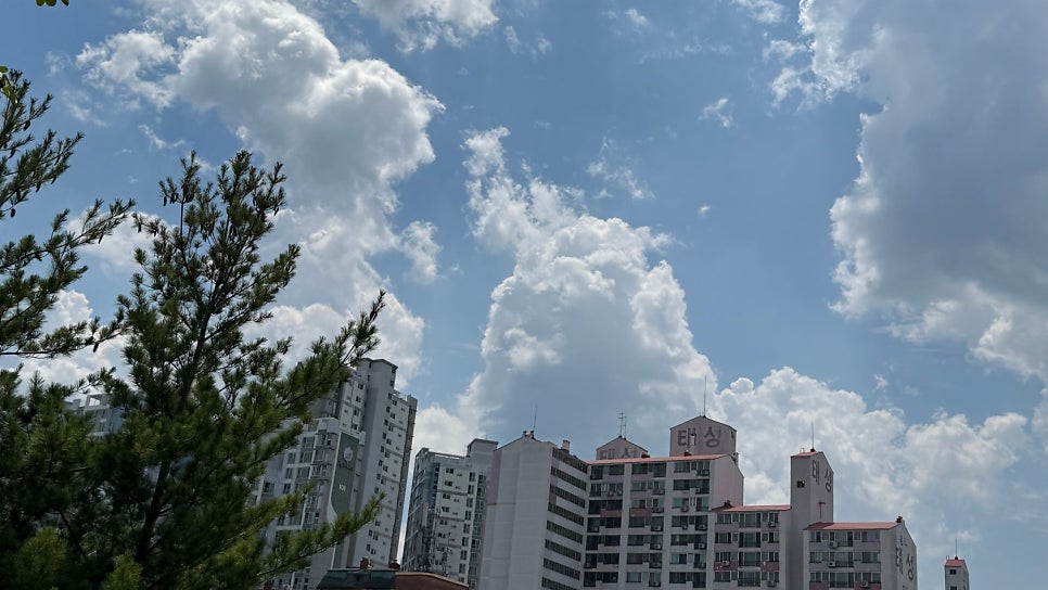 효명통닭 사진 1