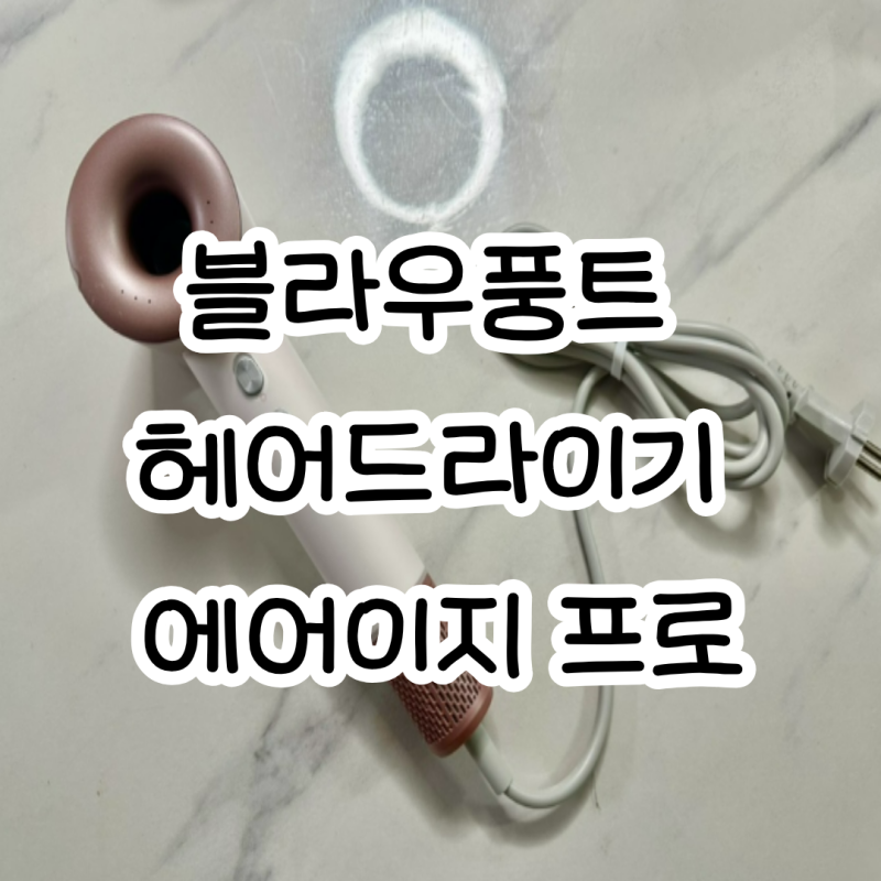 BLDC 미용실 드라이기 추천ㅣ블라우풍트 에어이지 프로 한 달 사용기
