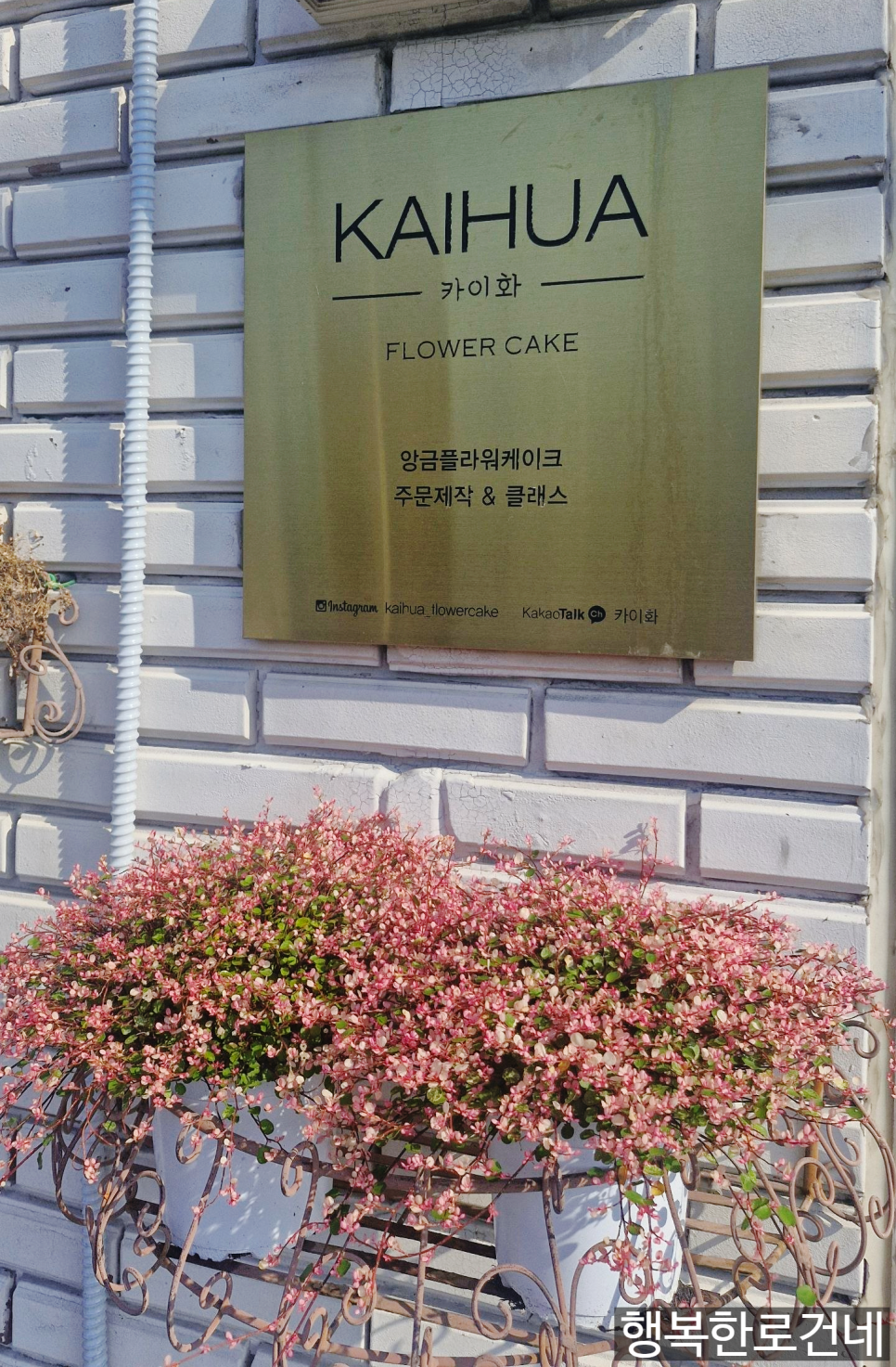 카이화 사진 2