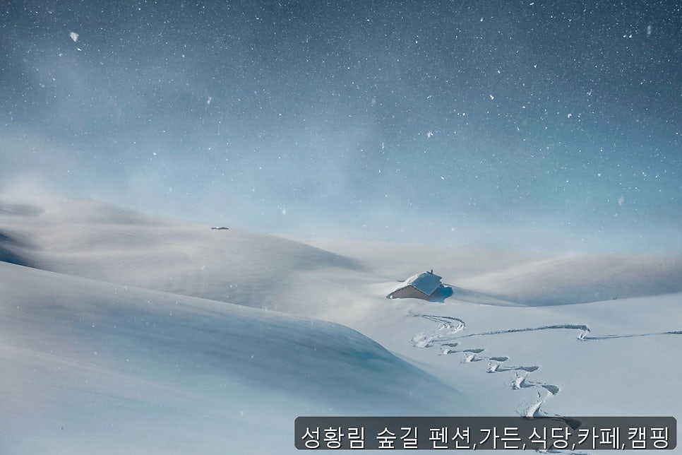 성황림숲길 식당 사진 2