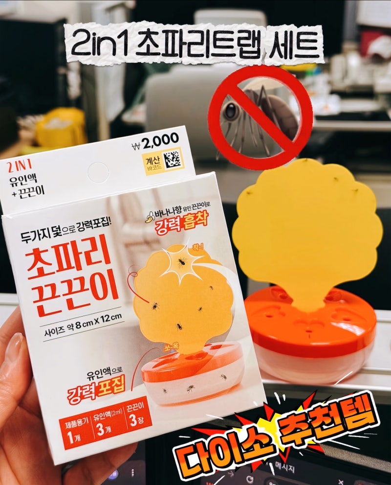 다이소 추천템 2in1 초파리트랩 세트 두가지 덫으로 강력흡착포집 초파리 맛집 사무실에 설치....