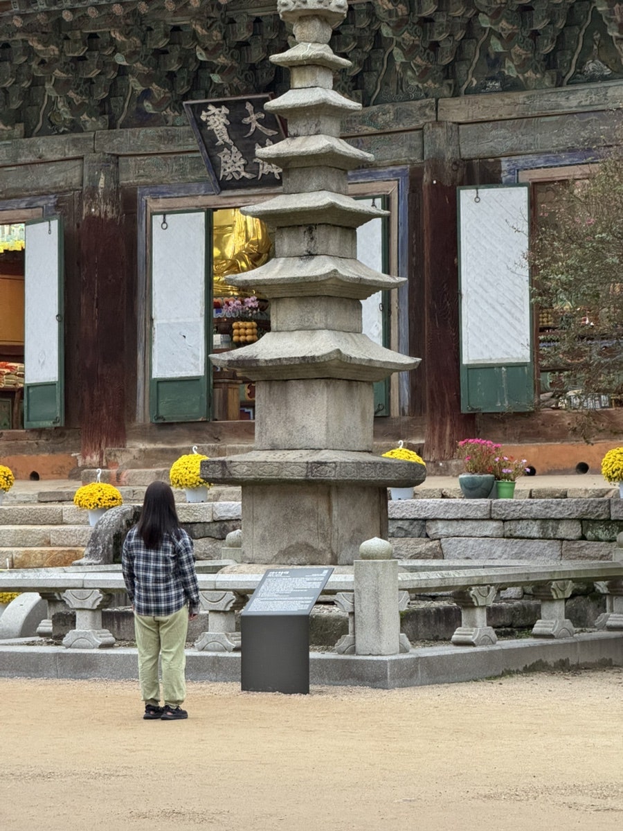 Gohyangsamhap photo 1