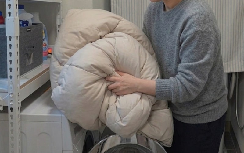 집먼지진드기 먼지다듬이 차이점 퇴치 방법과 생기는 원인