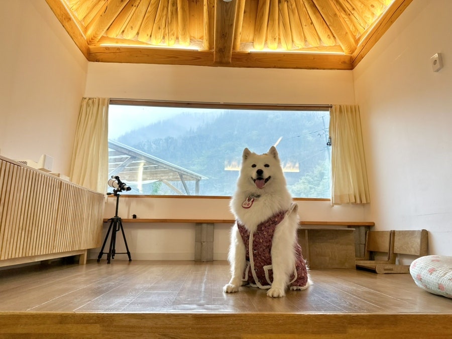 한옥우연 사진