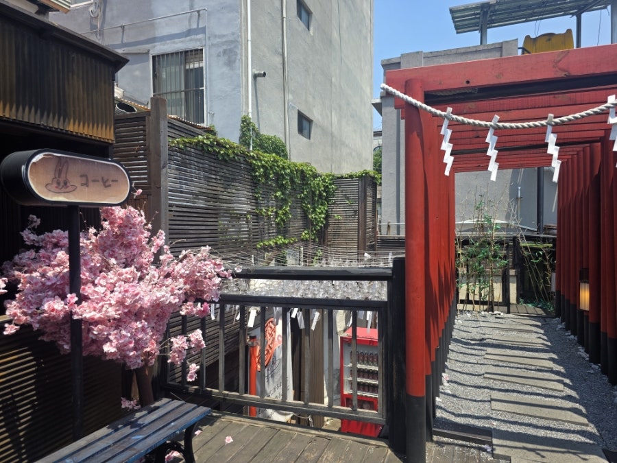 코히별장 사진 1