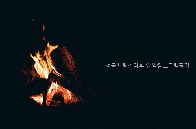 성동힐링센터휴 영월캠프 사진 2
