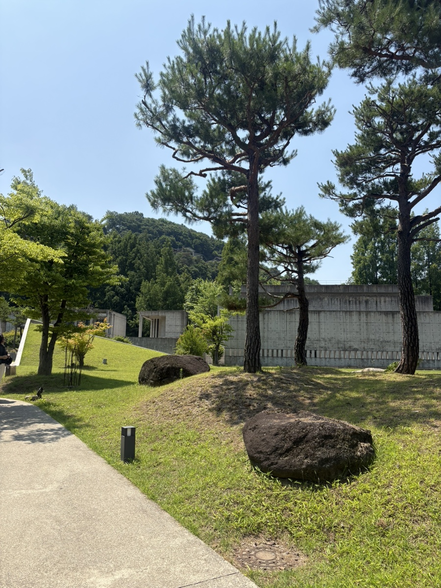 카페 페니키아 사진 4