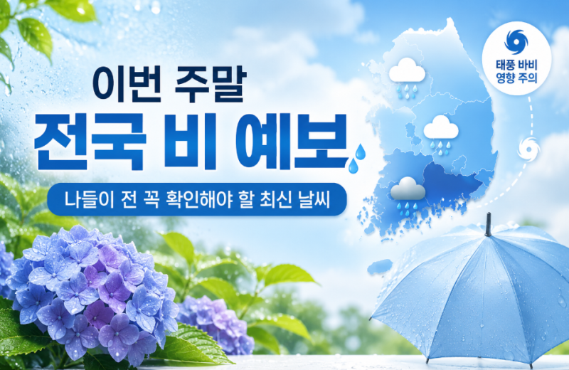 이번 주말 전국 비 예보, 지역별 강수량과 태풍 영향 총정리(#고향 내려왔는데..)