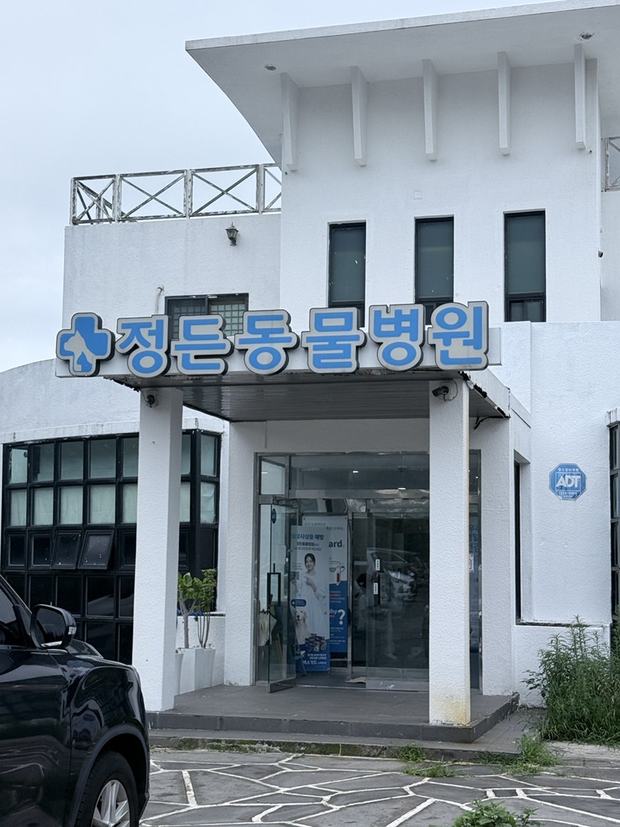 정든동물병원 사진 3