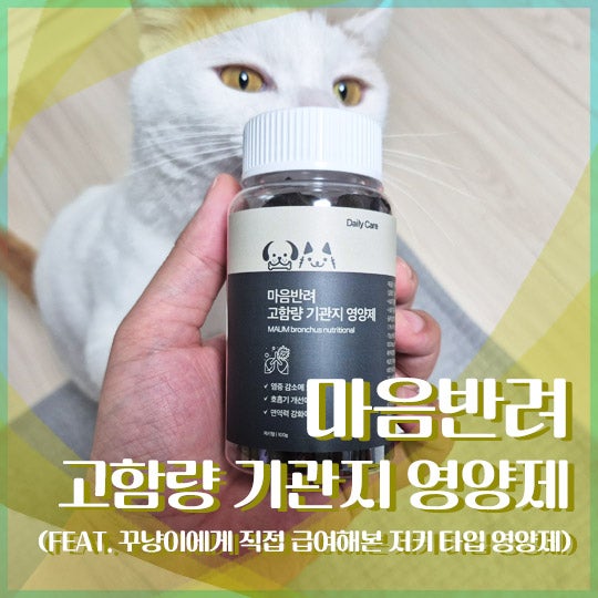 강아지기관지영양제 추천 마음반려 후기 (고양이기관지영양제 급여기)
