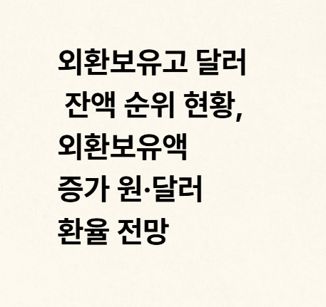 외환보유고 달러 잔액 순위 현황, <b>외환보유액 증가</b> 원·달러... 