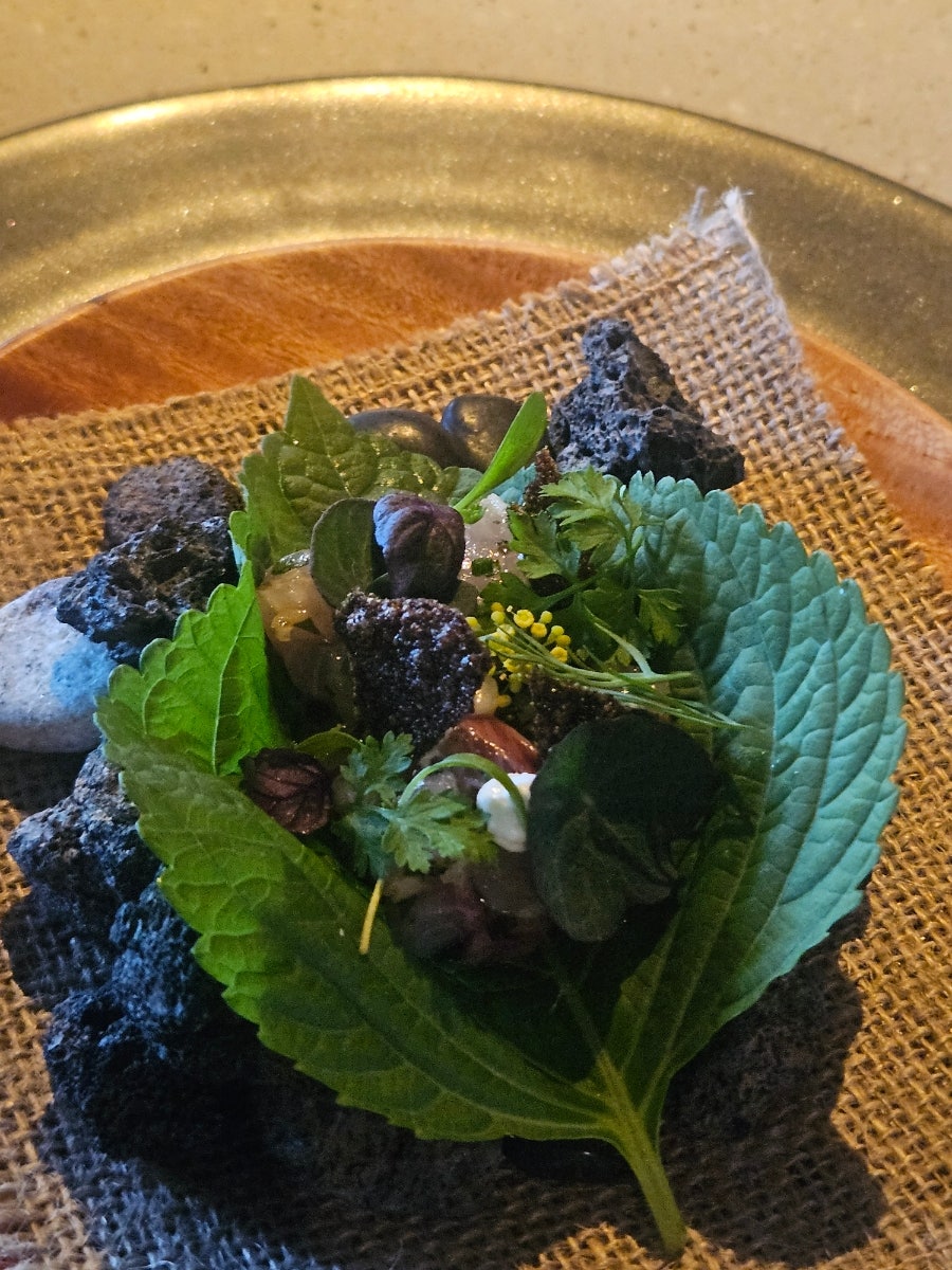 부르 사진 2