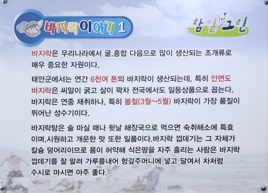 참밀그린 바지락칼국수 배방점 사진 5