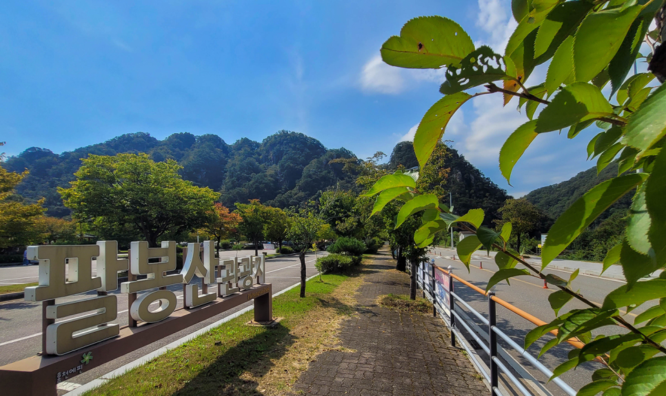 산으로 사진 2