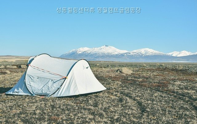 성동힐링센터휴 영월캠프 사진 3