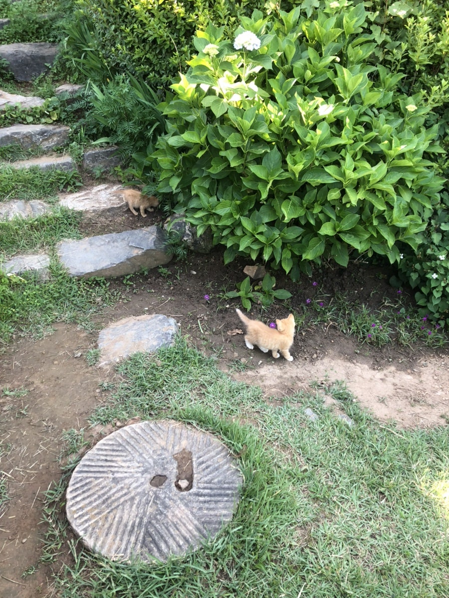 두꺼비흙집 사진 2