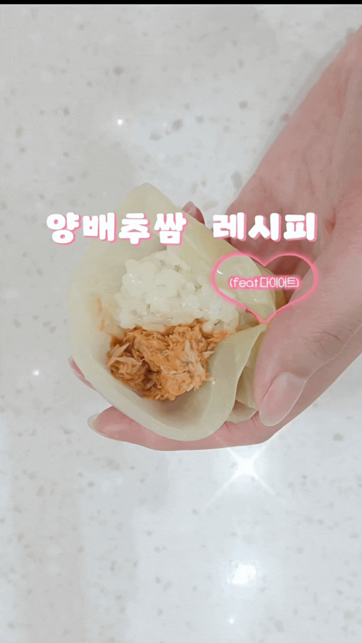 다이어트 | 양배추쌈 레시피, 다이어트 중에도 맛있게 먹는 초간단 한 끼