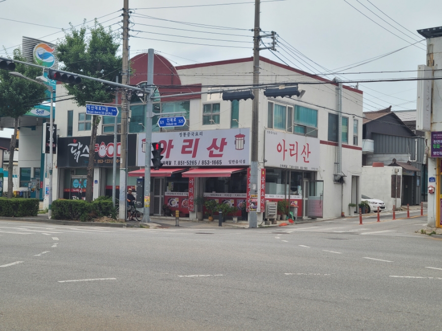 아리산 사진 2