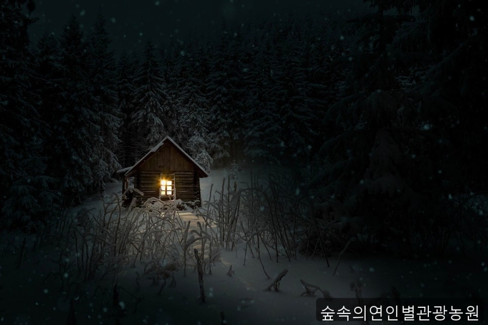 숲속의연인별 사진 2