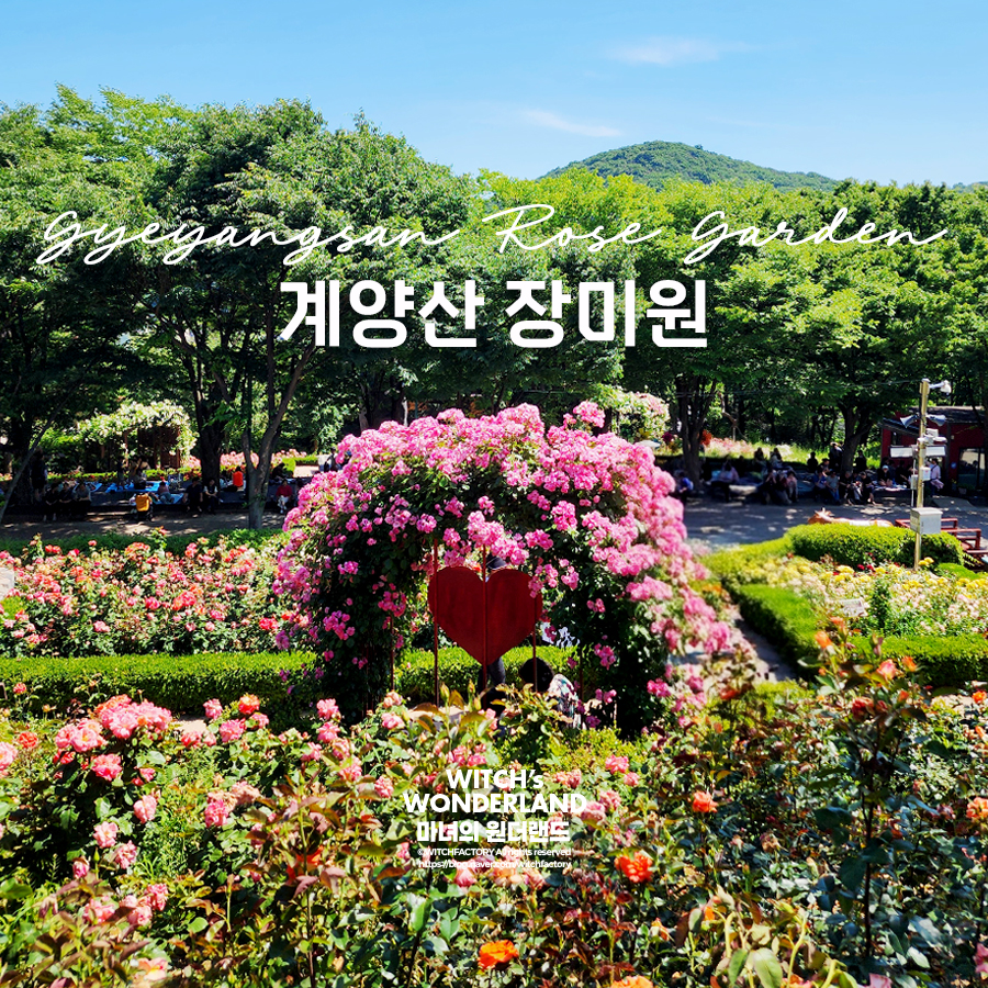 산들바람 사진 1