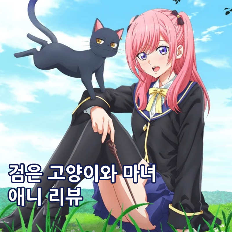 검은 고양이와 마녀의 교실 애니 리뷰 보는 곳 몇부작?