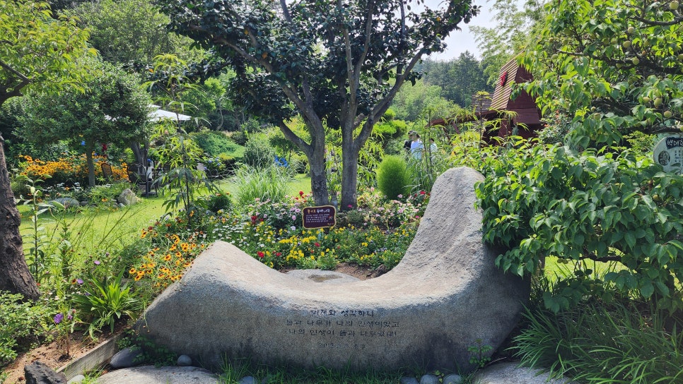 몽베르 사진 4