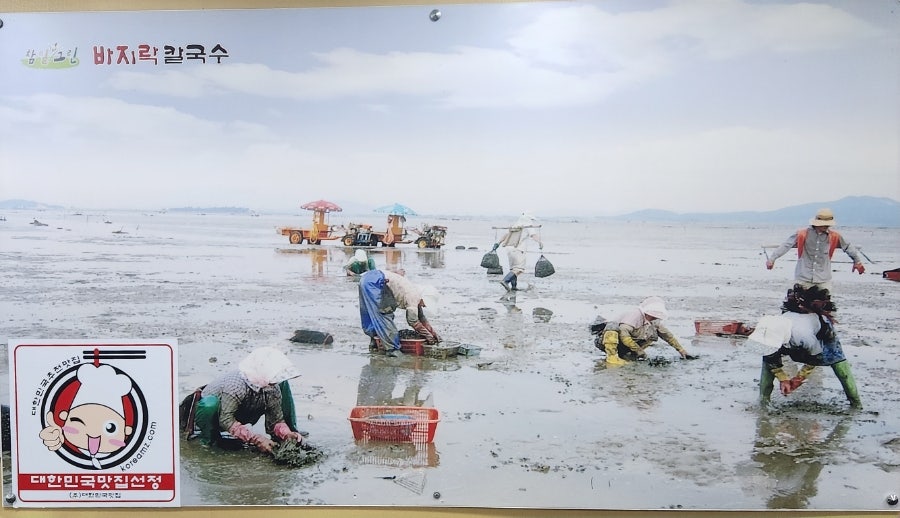 참밀그린 바지락칼국수 배방점 사진 6
