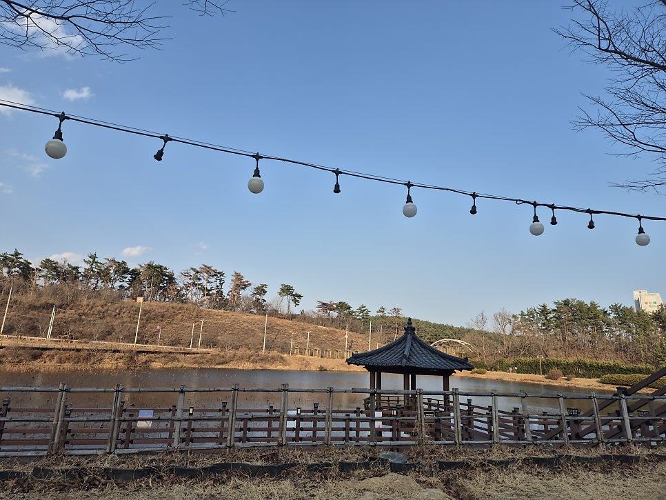 태화연오토캠핑장 사진 5