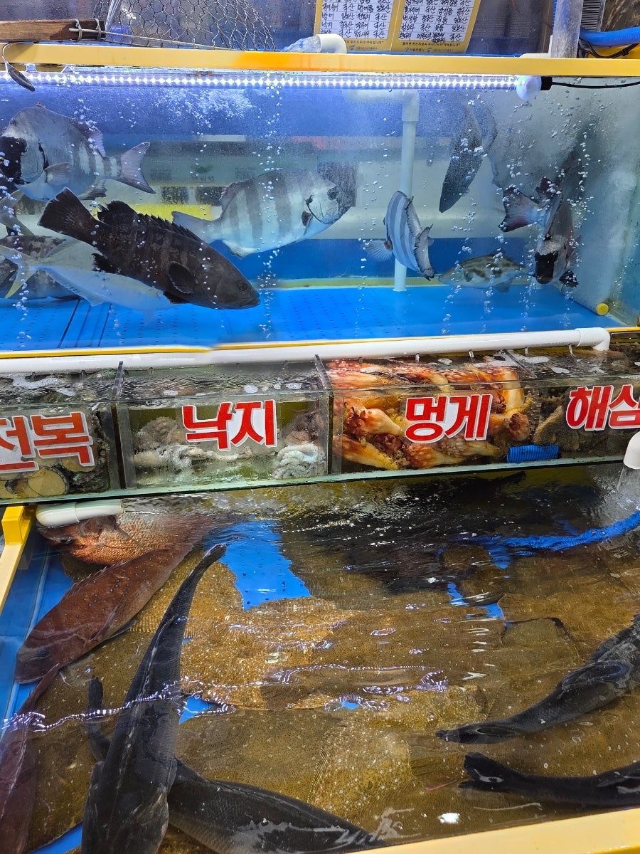 형제수산 사진 6