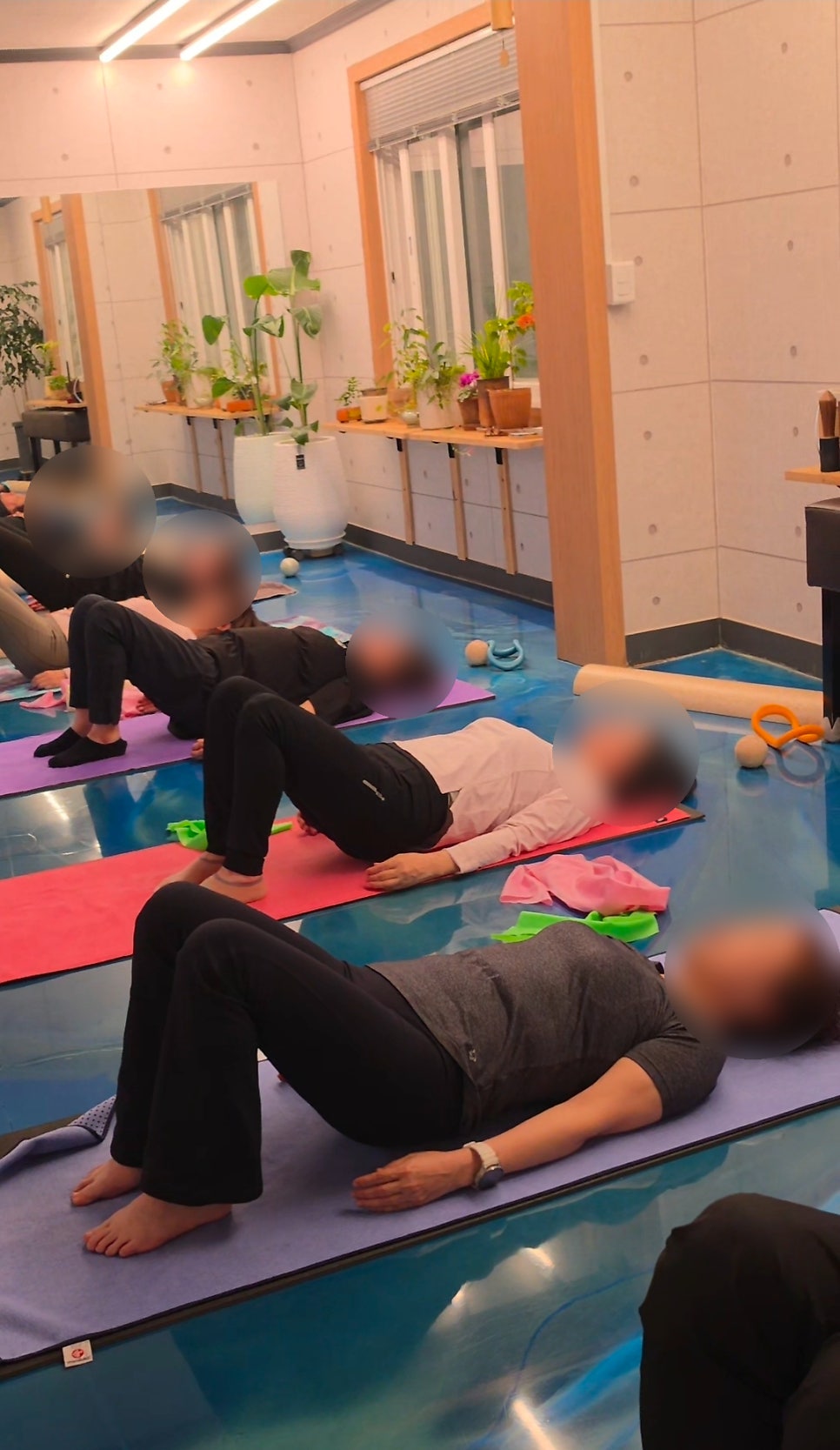 심신활가 사진 5