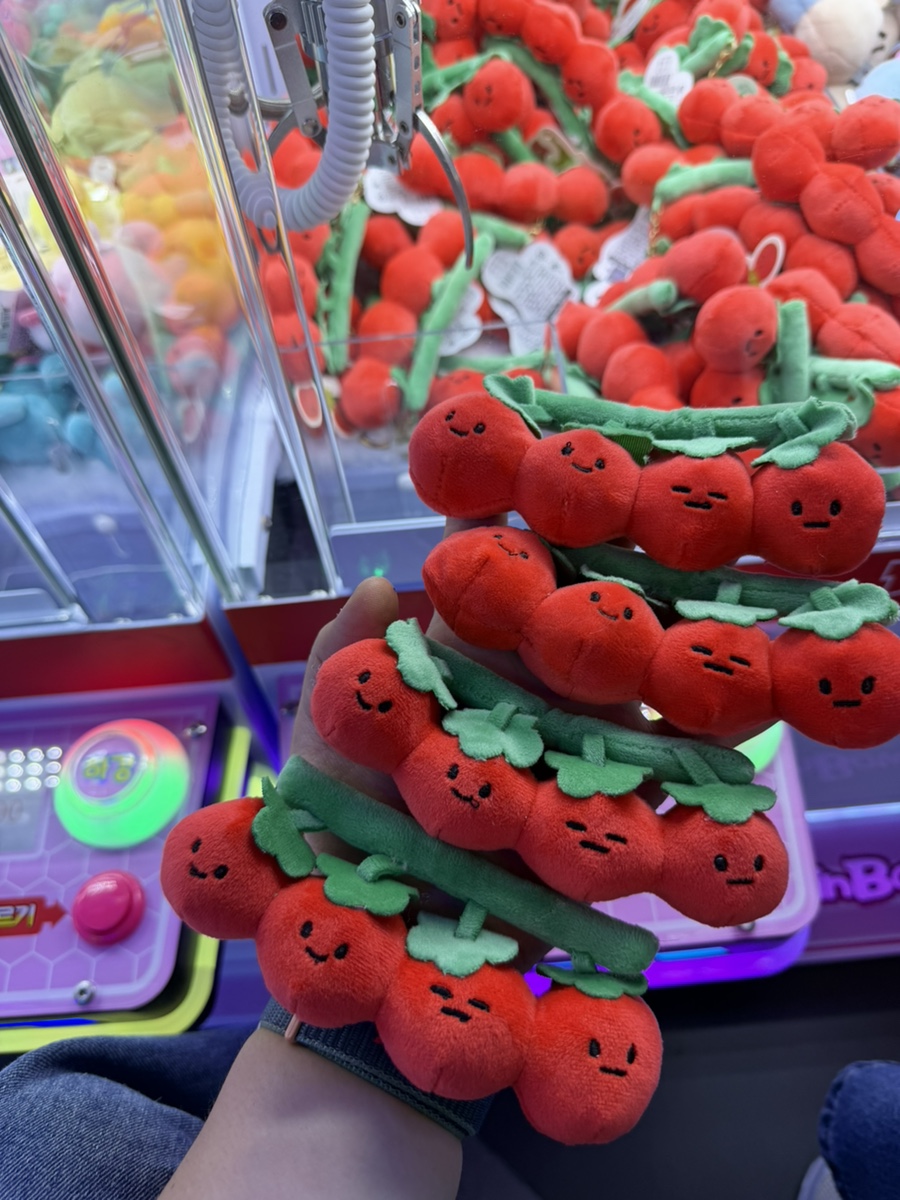 육빙고 사진 1