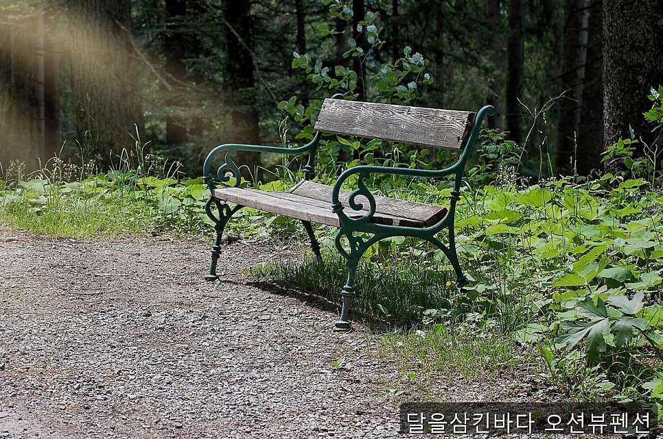 달을삼킨바다 사진 2