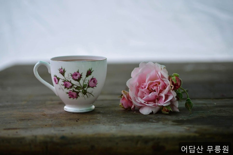 어답산무릉원 사진 3