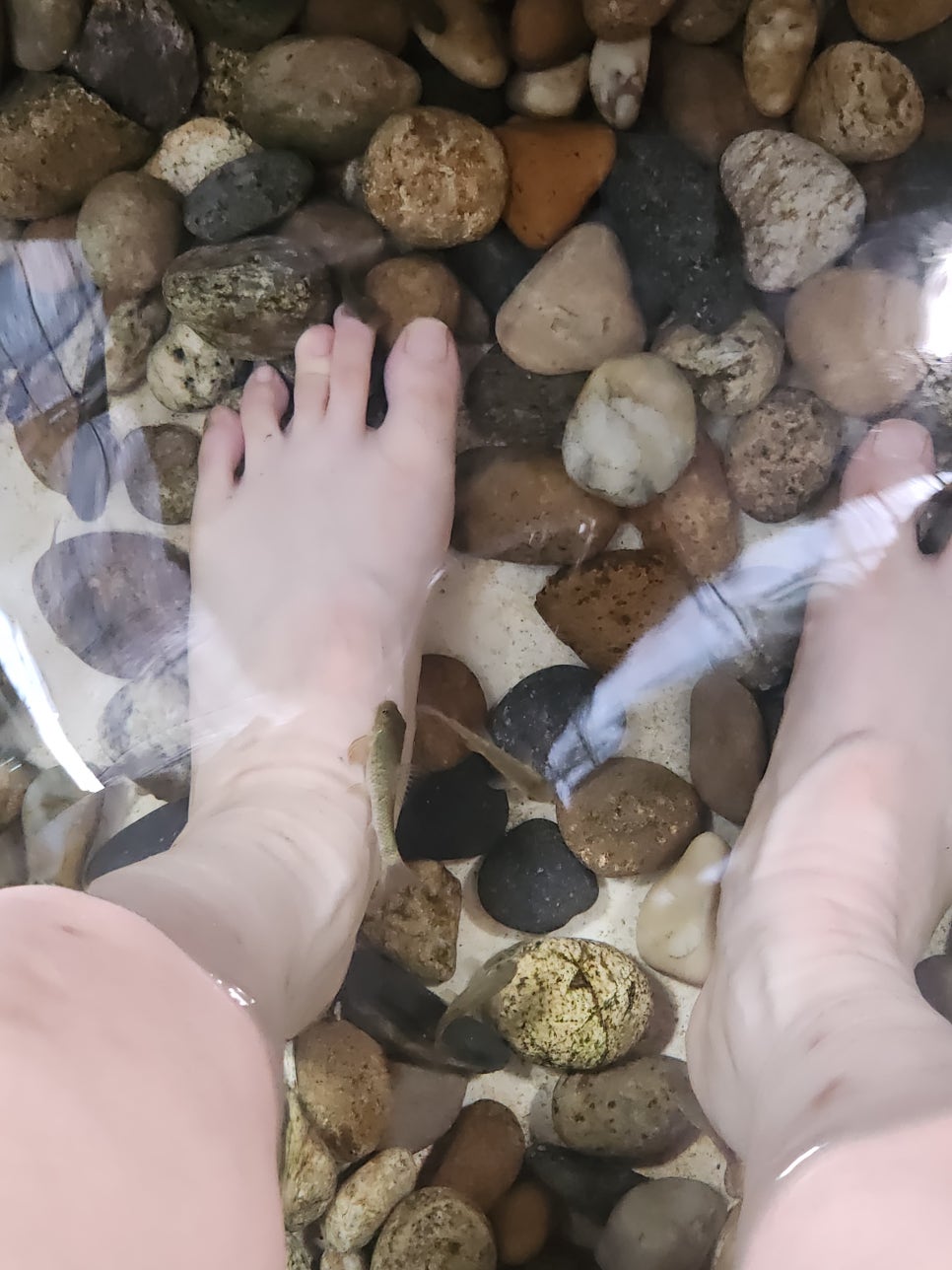 봉평메밀 사진 6